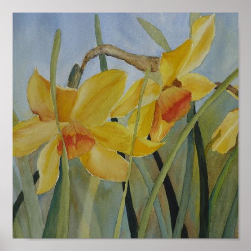 IMPRESIÓN - narcisos Posters