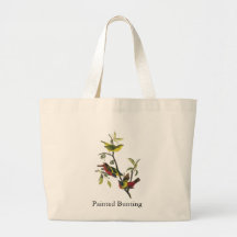 Impresión pintada Audubon del empavesado de Juan Bolsa