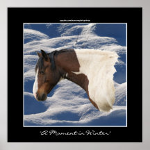 Impresión pintada indio americano del Caballo-aman Posters