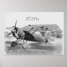 Impresión polaca del combatiente de PZL P24 Impresiones