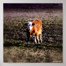 Impresión/Poster_NATURE0002_Bull_ZALTAR