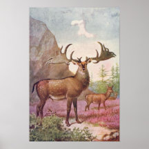 Impresión prehistórica de la antigüedad de los ani poster