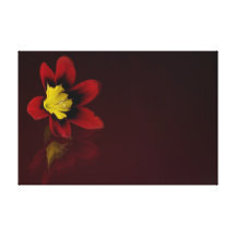 Impresión roja de la lona de la flor del Sparaxis Impresión En Lona Estirada