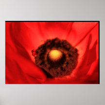 Impresión roja de Vernacula Poster
