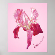Impresión (roja y rosada) del poster del iris de l