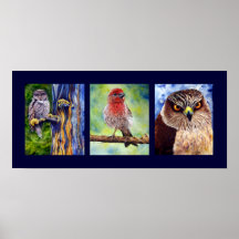 Impresión salvaje de la acuarela de los pájaros poster