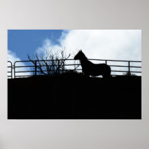 Impresión: Silueta equina Posters