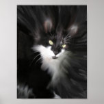 Impresión surrealista del gato posters