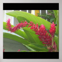 Impresión tropical 2 impresiones