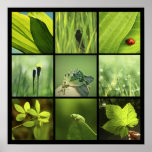 impresión verde de las fotos de la naturaleza 3x3 posters
