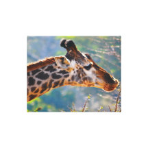 Impresiones de la lona de la jirafa de la fotograf lona envuelta para galerias