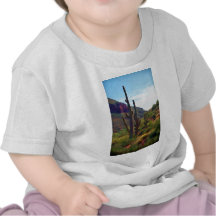 impresiones del saguaro camisetas
