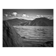 IMPRESIONES - "monarcas verdes a lo largo del lago Fotos