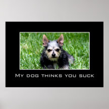 Incluso mi perro sabe que usted chupa [el XL] Poster