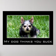 Incluso mi perro sabe que usted chupa poster
