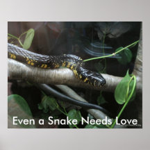 Incluso una serpiente necesita amor poster