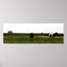 Incongruencia Poster
