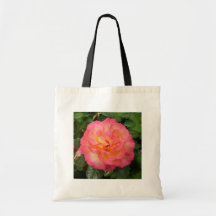 indefinido bolsas
