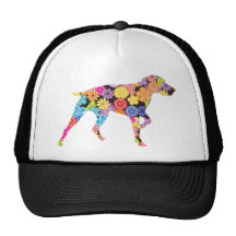 Indicador de pelo corto alemán gorras