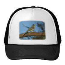 Indio Myna 9F76D-05 Gorros Bordados