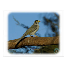 Indio Myna 9F76D-05 Tarjeta Postal
