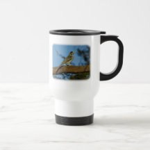 Indio Myna 9F76D-05 Taza