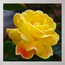 Indirecta del rosa amarillo de la inundación rosad poster
