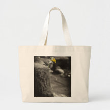 Individual Bolsa