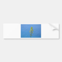 Inflorescencia de una planta del agavo pegatina de parachoque