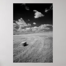 infrarrojo del campo del heno posters