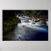 Frente