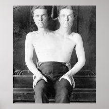 Inocentes: 1901 impresiones