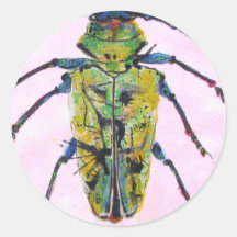 Insecto 011 pegatina