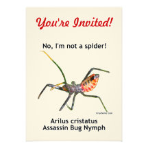 Insecto de asesino de la araña roja comunicados personalizados