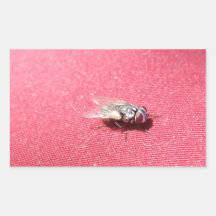 Insecto de la mosca de soplo en rojo rectangular altavoces