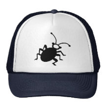 Insecto Gorro
