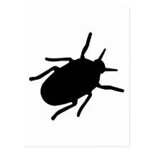 Insecto Postales