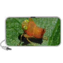 Insectos Altavoces De Viajar