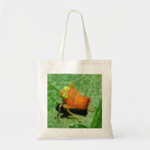 Insectos Bolsa De Mano