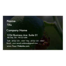 Insectos de la fruta de las arañas de las cales plantillas de tarjeta de negocio