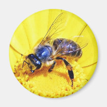 Insectos de las flores de las abejas imán para frigorífico
