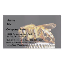 Insectos Marco de las abejas Tarjeta De Visita