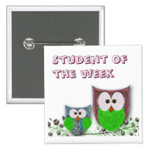 Insignia adaptable del búho de los profesores pins