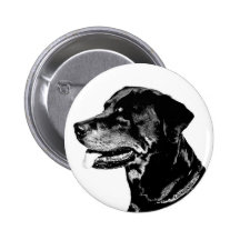Insignia de Rottweiler Pins