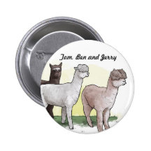 Insignia de Tom, de Ben y de Jerry Pin