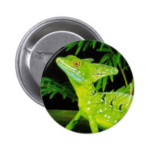 Insignia del basilisco pins