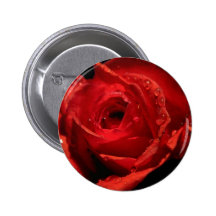 Insignia del botón del el día de San Valentín Pin