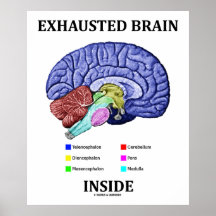 Interior agotado del cerebro (humor anatómico del  impresiones