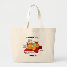 Interior animal de la célula (biología celular del bolsas