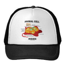 Interior animal de la célula (biología celular del gorros  